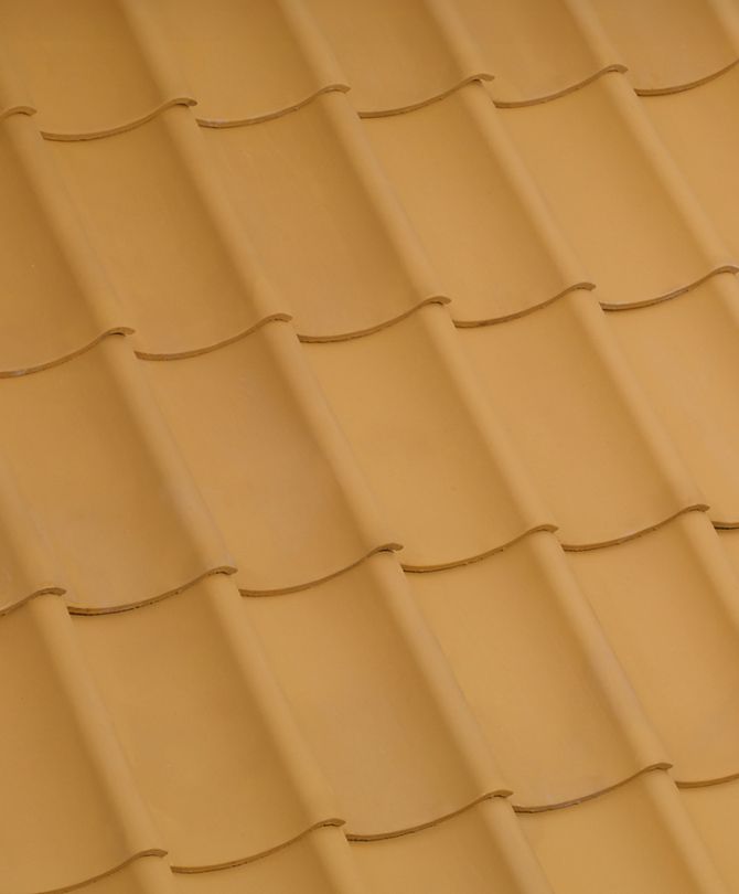 RT 811 Højslev Lille Dansk Format